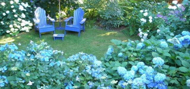 Сині квіти для релаксу: місце відпочинку на вашій дачі